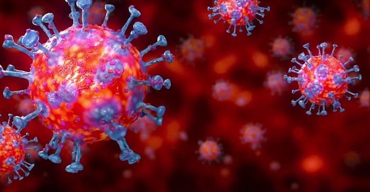 कर्णालीमा थपिए १५ जना कोरोना संक्रमित