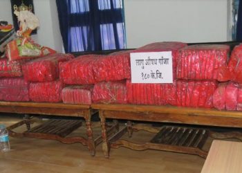 कुखुरा फार्ममा लुकाई छिपाई राखेको १ सय ८० किलो लागु औषध गाजा प्रहरीद्वारा बरामद