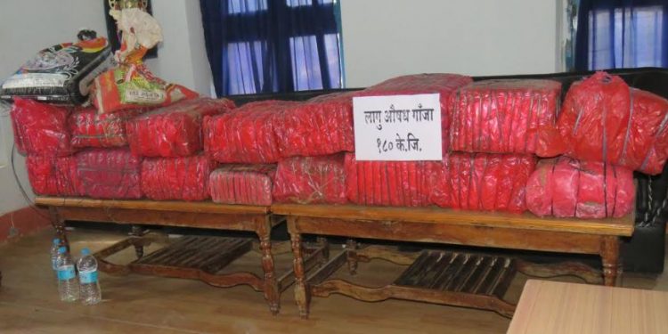 कुखुरा फार्ममा लुकाई छिपाई राखेको १ सय ८० किलो लागु औषध गाजा प्रहरीद्वारा बरामद