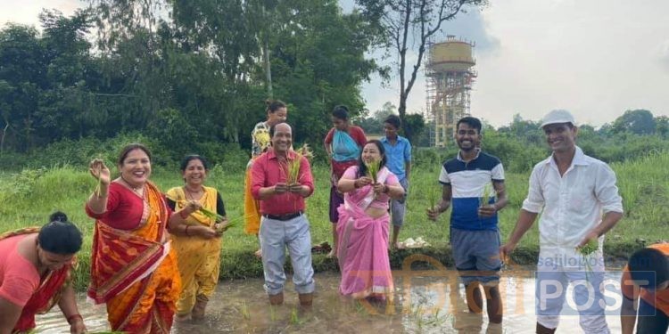 राहत अभियान्ता जोडीले मनाईयो धान दिबस