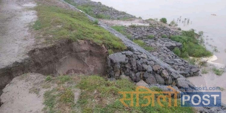 सप्तरीमा खाँडो नदीको बाढीले तीन वडा डुबानमा