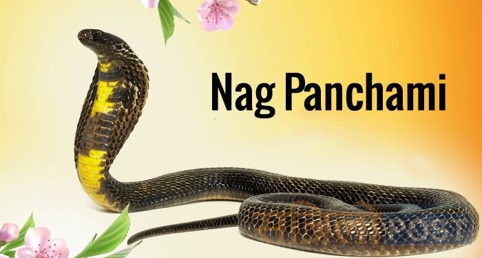 नागको पूजा अर्चना गरी आज नाग पञ्चमी पर्व मनाईदै