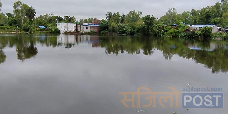 रामपुरको नीजि पोखरीमा गाउँपालिकाको हस्तक्षेप