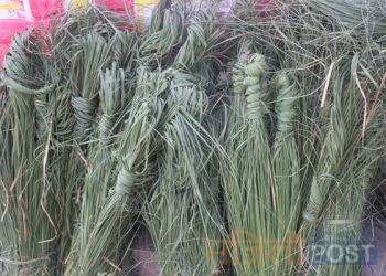 आज बुबाको मुख हेर्ने दिन अर्थात भाद्रकृष्ण कुशे औसी