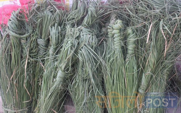 आज बुबाको मुख हेर्ने दिन अर्थात भाद्रकृष्ण कुशे औसी