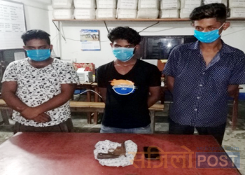 सिरहाको मिर्चैयाबाट नलकटुवा पेस्तोलसहित ३ जना पक्राउ