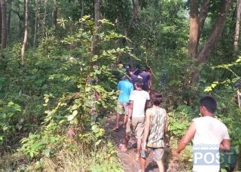 रौतहटमा बाघको आक्रमणबाट एकजनाको मृत्यु, दुई जना घाईते
