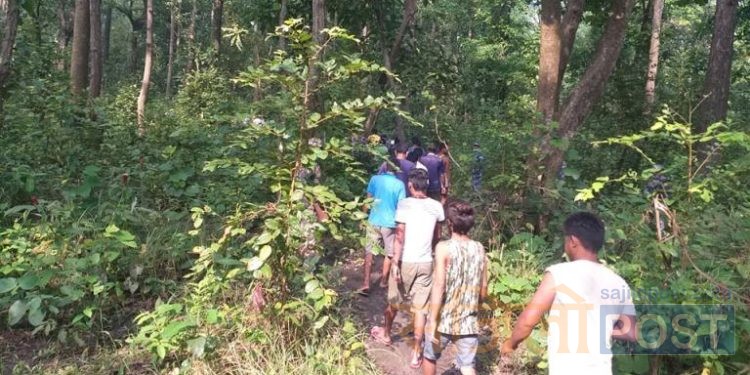 रौतहटमा बाघको आक्रमणबाट एकजनाको मृत्यु, दुई जना घाईते