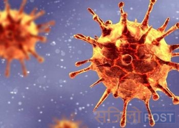 प्रदेश–२ मा कोरोना सङ्क्रमणमुक्त हुने १२ हजार नाघे