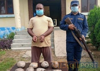 आठ किलो अफिमसहित पर्सा बाट एक जना पक्राउ