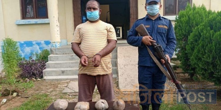 आठ किलो अफिमसहित पर्सा बाट एक जना पक्राउ