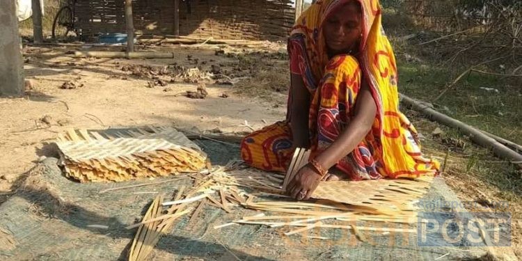 डोम जाति अझै पनि छुवाछूतबाट प्रताडित  छठमा सूर्यलाई अघ्र्य दिन बाँसले बनाएको सामग्री नभए पर्व हुँदैन ‘गाउँमा श्रम, सीप र मेहनत चल्छ  तर छोएको पानी चल्दैन