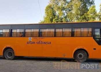 प्रदेश २ सरकारले सरकारीस्तरबाट नै सार्वजनिक यातायात सेवाका रुपमा बस सञ्चालन गर्ने तयारी