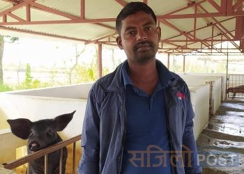 सखुवानन्कारकट्टी गाउँपालिकामा आईटी अफिसरको जागिर छाडेर एक युवा कृषि पेशामा आबद्ध