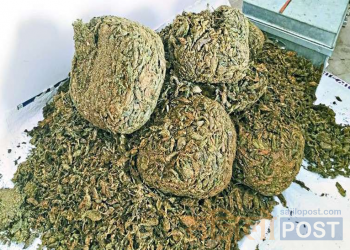 वीरगञ्जबाट १०५ किलो लागूऔषधगाँजा सहित ७ जना पक्राउ