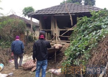 सिराहामा जंगली हात्तीको  आतंक