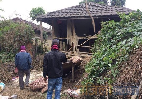 सिराहामा जंगली हात्तीको  आतंक