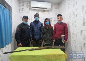 सप्तरीमा भरुवा बन्दुकसहित दुई पक्राउ