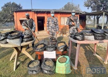 सप्तरीबाट ४१ किलो गाँजा बरामद