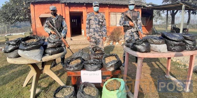 सप्तरीबाट ४१ किलो गाँजा बरामद