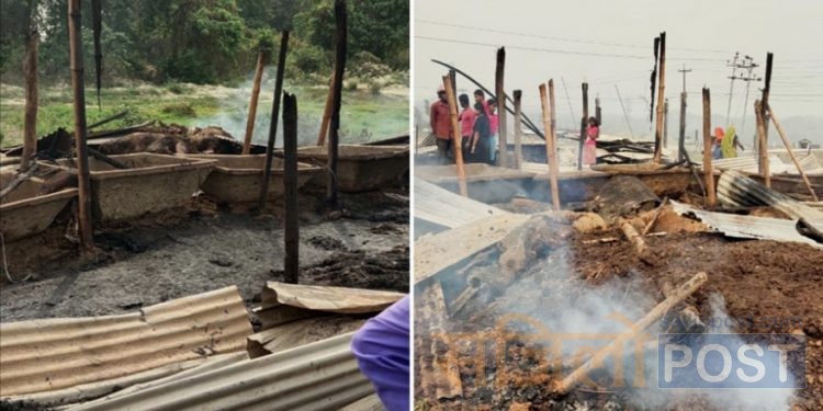 सप्तरीको महुली पुल नजीकको एक कृषि फार्ममा आगलागी हुँदा २० वटा गाईको जलेर मृत्यु