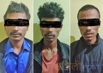 प्रदेश २:बलात्कार र करणी प्रयास गरेको आरोपमा ३ जना पक्राउ