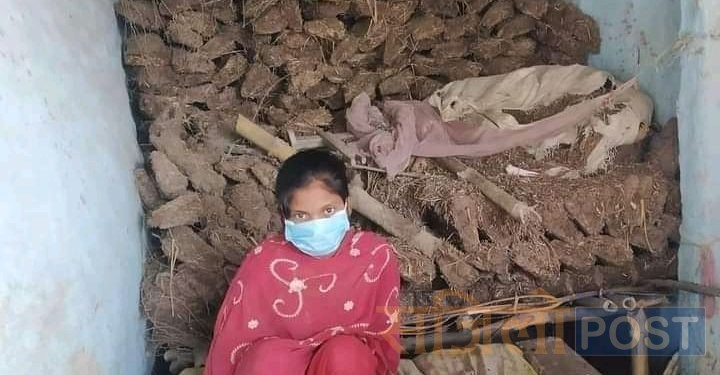 सर्लाहीमा एक युवकले विवाह गर्ने भनी घरबाट भगाएर लगेको युवतीलाई २० दिनपछि बुहारी स्विकार्न सकिन्न भन्दै गाई गोठमा थुनेर राखियाे