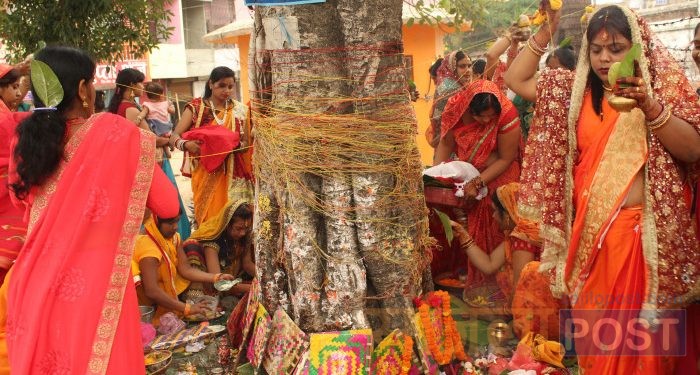 पतिको दिर्घायुको कामना गर्दै मिथिलाञ्चचलमा बरसाइत (बट सावित्री) पर्व मनाइयो