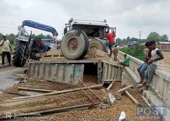 धनुषामा ढल्केवरस्थित बसही पुलमा सवारी दुर्घटना, दुई जना घाइते