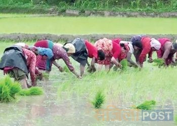 निरस बन्यो असारे पन्ध्र