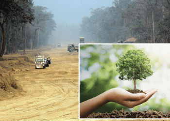 काठमाडौँ–तराई-मधेस द्रुतमार्गमा पौने दुई लाख बिरुवा रोपिए
