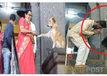जब मन्दिरको ढोका नजिकै बसेको कुकुरले दर्शन गर्न आउने सबैलाई आशीर्वाद दिने र हात मिलाएको भिडियो एका एक भाईरल (भिडियो)