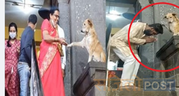 जब मन्दिरको ढोका नजिकै बसेको कुकुरले दर्शन गर्न आउने सबैलाई आशीर्वाद दिने र हात मिलाएको भिडियो एका एक भाईरल (भिडियो)