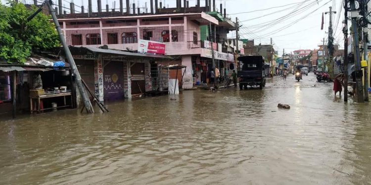 अविरलको बर्षाले जनकपुरधाम उपमहानगरपालिका जलमग्न(फोटोफिचर)