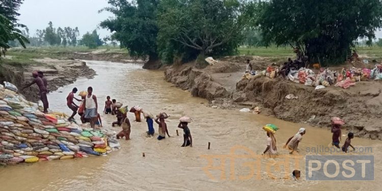 बाढीको उच्च जोखिममा महोत्तरीका दर्जन बस्ती, टुट्दै तटबन्ध र सडक