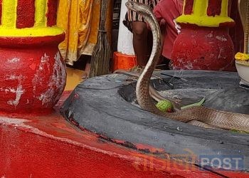 सप्तरीमा पहिलो सोमबारीकै दिन एक व्यक्तिको घरबाट निस्कियो नाग देवता, पूजापाठ सुरु