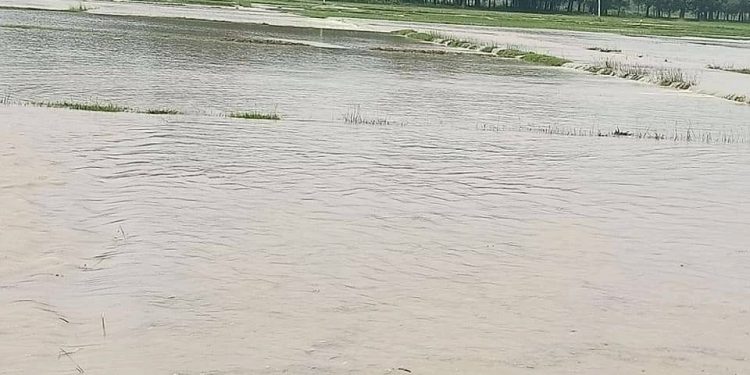 जिता नदीकाे बाढी सप्तरीको कदमाहा टोलमा पस्दा २ सय घर डुबानमा