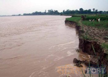 चार दिनदेखि परेको अविरल वर्षाले महोत्तरीका रातुसहित आधा दर्जन नदीमा बाढी