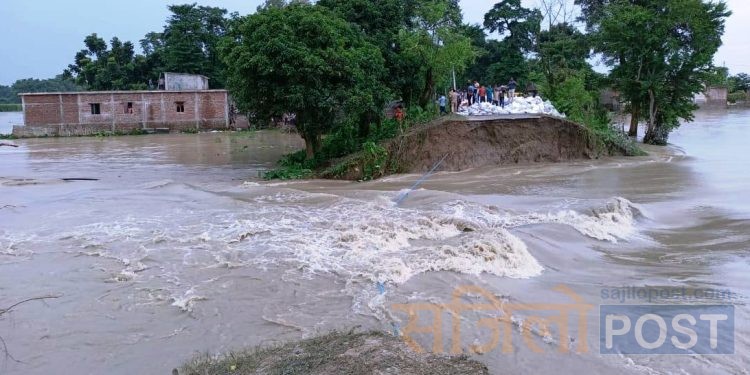 बिहारमा कोसी नदीको तटबन्ध भत्किएपछि हजारौँ परिवार विस्थापित