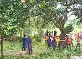 अ“नै“ति“क यौ“न सम्बन्धको शंकामा एक युवकले गर्‍यो श्रीमती र बुबाको ह“त्या, यसरी पत्ता लाग्यो घटना !