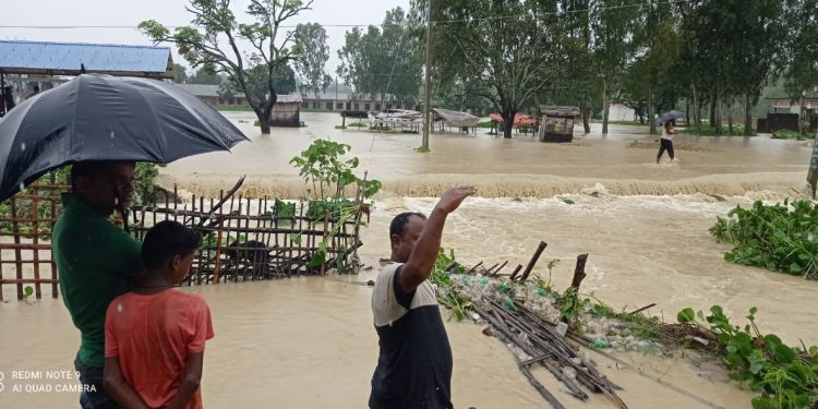 बिहीबारदेखि परेको लगातारको वर्षाले धनुषाको दक्षिणी भेग डुबानमा (फाेटाे फिचर )