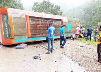 बारा : बसको ब्रेक फेल हुँदा बस चालकको ज्यान गयो, ८ जना घाइते