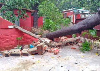 प्रदेश २ : लगातारको बर्षाको कारण मधेश भवनभित्र रुख खस्दा पर्खाल भत्कियो, विद्युत अवरुद्ध