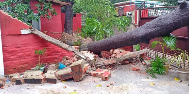 प्रदेश २ : लगातारको बर्षाको कारण मधेश भवनभित्र रुख खस्दा पर्खाल भत्कियो, विद्युत अवरुद्ध