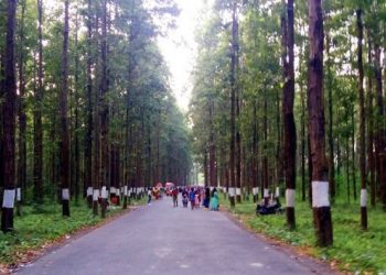 सेल्फी रोडमा यौ न क्रियाकलापमा लिप्त भइरहेको एकजोडी प क्रा उ