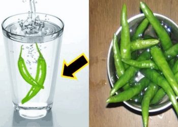 रातभरी भिजाएको हरियो खुसार्नीको पानी बिहानै पिउनुहोस्, भाग्छन् यी रोगहरू