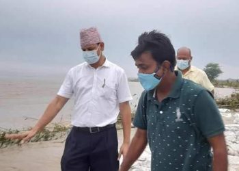 सप्तरीका प्रमुख जिल्ला अधिकारी आचार्यलेद्वारा कोशी तटबन्धको निरिक्षण