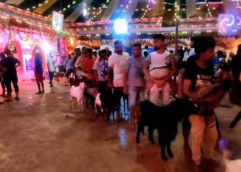 जनकपुरधामको प्रसिद्ध शक्तिपीठ राजदेवी मन्दिरमा १४ हजार २ सय ९१ बोका ब ‘लि प्रदान