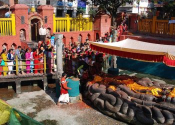 देशभरका नारायण मन्दिरमा भक्तजनको भीड, तुलसीको विशेष पूजा गरिँदै