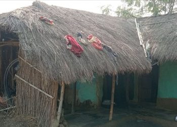 सप्तरीको डाक्नेश्वरी नगरपालिका : पुस्तौँदेखि बसोबास गर्दै आएका मुसहरलाई उठीबासको चिन्ता
